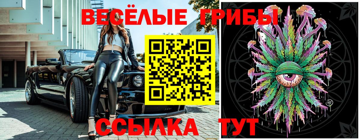 Псилоцибиновые грибы ЛСД Гусь-Хрустальный