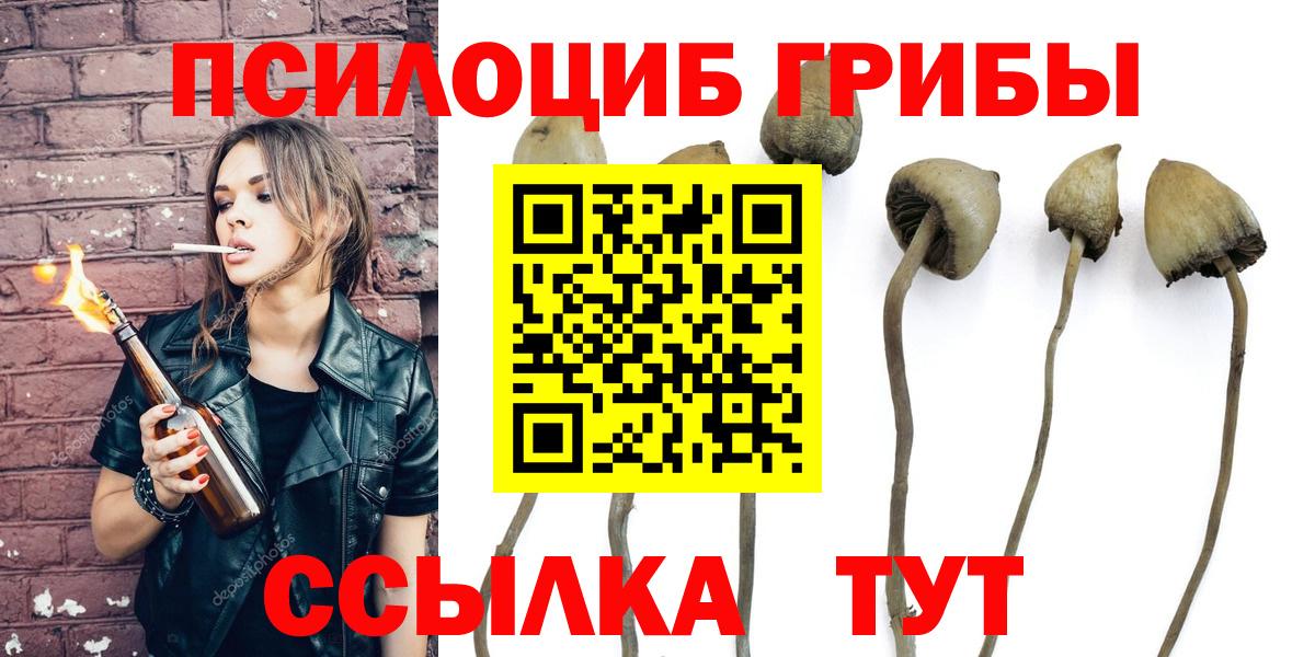 Галлюциногенные грибы Cubensis  Псилоцибиновые грибы MAGIC MUSHROOMS  Гусь-Хрустальный  Вход с VPN 